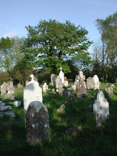 Old Murragh Cemetery 2.jpg 282.4K